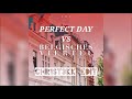 perfect day vs belgisches viertel chr1st3kk edit hardtekk