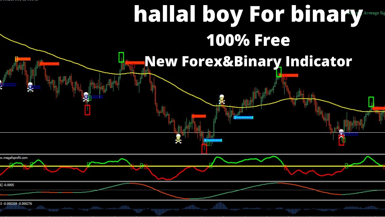 Free Binary Indicator | Free Forex Indicator | Free Indicator | Binary ...