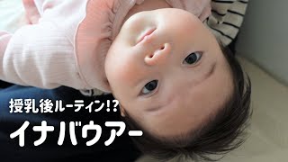 【生後129日】反り返り赤ちゃん!?授乳後にイナバウアーを連発する生後4ヶ月の赤ちゃんに癒される (Day 129. Ponu started to arch her back after milk)