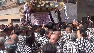 三社祭2019 浅草神社例大祭『一之宮本社神輿町会渡御』雷門中部町会No.２　担ぎ手のパワーが凄い！