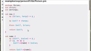Core Perl OOP: Constructor arguments