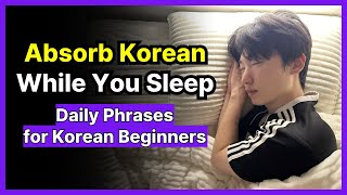 280 Must-know Korean daily phrases for beginners | Learn Korean While You Sleep