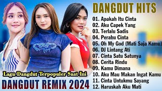 Dangdut Remix Terbaru 2024 Paling Enak Didengar Saat Santai - Lagu Dangdut Terhits 2024