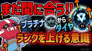 ※プラチナ帯必見※世界トップランカーが教えるランクでの意識【CHEEKY切り抜き】