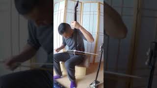 Improvised melodies based on Northwestern style from China. alto shaoqin, shaoqin, looper