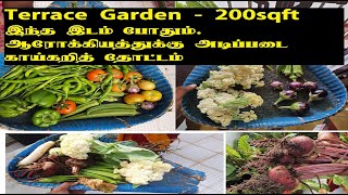 Terrace Garden  | மாடித் தோட்டம் – முதல் முயற்சி |