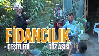 FİDANCILIK Yapan Bir Aile İşletmesi (Çeşitleri - Göz Aşısı) - Çiftçinin Seyir Defteri #fidancılık