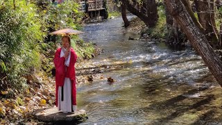 Yak Meat Lunch at Shuhe Ancient Town | Exploring Lijiang's countryside