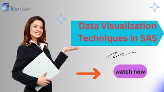 Data Visualization Techniques in SAS | iCert Global