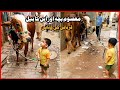 Beautiful Qurbani Nasheed 🐐 | Eid Mubarak Naat | Bakra Eid Special #bakraeid