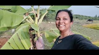 இதற்கு தான் ஊருக்கு வந்தேன் // Vlog With Garden