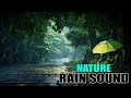 Best Rain Sounds For Sleep - 99% Fall Asleep With Rain And Thunder Sounds At Night | For insomnia