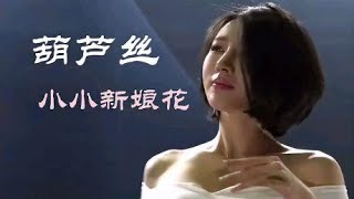 葫芦丝-《小小新娘花》