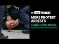 Artist applauds Chinese protesters amid biggest anti-government protests in decades | The World