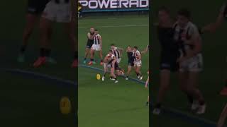 Nick Daicos WINNING goal v Carlton 🔥✨  #collingwood #nickdaicos #afl #footy