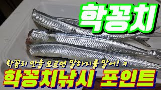 맛이 일품인 학꽁치 낚시 포인트 공개