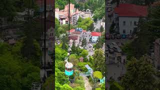 #ბორჯომი 🌳❤️#borjomi 🇬🇪 #travel #vlog #visitgeorgia #visiborjomi#travel #kavkaz #followme