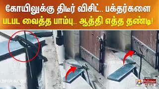 கோயிலுக்கு திடீர் விசிட்! பக்தர்களை படபட வைத்த பாம்பு..ஆத்தி எத்த தண்டி