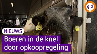 BOEREN komen in de FINANCIËLE PROBLEMEN door deze regeling