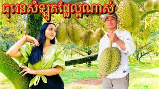 មកលេងចំការធុរេននៅសំឡូត ធុរេនខ្មែរយើងឆ្ងាញ់ណាស់ 2023 Chamkar Duren Samlot #Brosbmc