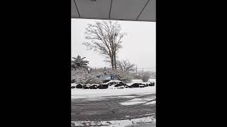 天気予報通りただいま雪が降っています。