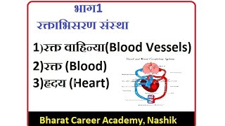 रक्ताभिसरण संस्था (Blood Circulatory system) (Blood vessels-रक्त वाहिन्या) Artery-धमन्या / Vein शिरा