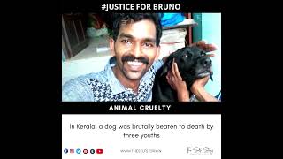 Kerala: Dog brutally thrashed to death at Adimalathura beach | Justice For Bruno | WeWantJustice