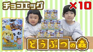 チョコエッグ・どうぶつの森を10個開封したよ！シークレット出るかな⁉ほなちなTV Chocolate egg, surprise egg, Hona\u0026Cheena’sTV