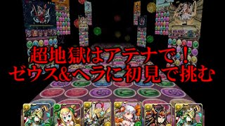 【パズドラ　実況】ゼウス\u0026ヘラ降臨超地獄級に初見アテナで挑む！