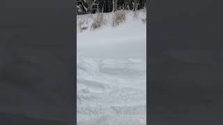 龍神スカイライン　除雪はここまで#スーパーキャリイ