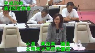 平成29年太宰府市議会第3回9月定例会4日目（9月13日）⑥一般質問【個人質問】小畠真由美議員