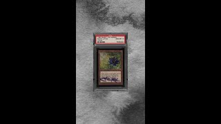 Graded 10 Black Lotus