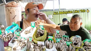 Let’s Try Very Special MILO in Malaysia! Local Malaysian Breakfast Street Food Mukbang