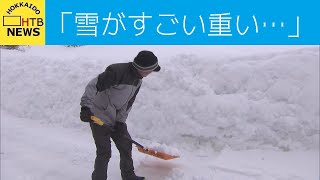 北海道　広い範囲で強い雪　雪かき追われる市民に疲れ　「湿った雪が重い…」