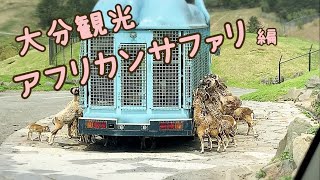 大分観光〜アフリカンサファリ編〜