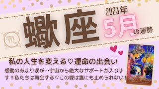 【蠍座♏️】2023年5月運勢🌟感動のあまり涙が…宇宙から絶大なサポートが入ります！私たちは再会する♡この愛は誰にも止められない！🌟