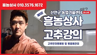 2025 흥농상사 오프라인 강의 1편 feat. 신안군기술센터