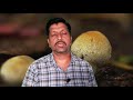 world costliest cordyceps militaris mushroom in tamil i விலை உயர்ந்த காளான் i ravikumar i sr i tamil