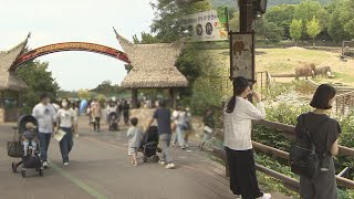 고향 대신 연휴 맞아 나들이도…\