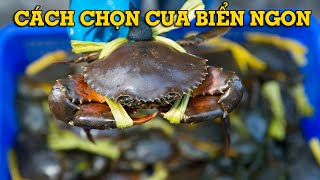 Cách chọn cua biển ngon, chắc thịt - Mẹo Vặt Cuộc Sống