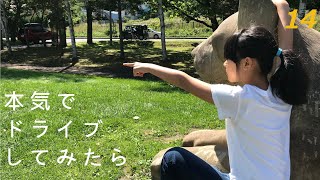 #14 北海道 道の駅スタンプラリー【本気でドライブしてみたら】