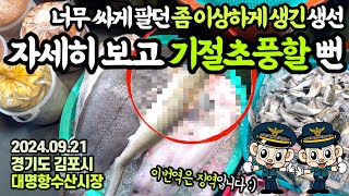 ”맙소사!!“헐값에 팔리는 이상하게 생긴 생선,사려다가 그 정체에 ‘경악’…가을 수산시장에서 호구되지 않는 꿀팁 대방출(in 대명항)