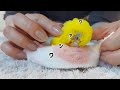 ズレた右側の顔と嘴のケアをする シニアインコの介護 caring for an old budgerigar s face and warped beak