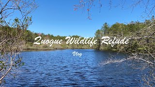 【纽约周边一日游】Quogue Wildlife Refude|长岛Quogue 野生动物保护区|纽约法拉盛周边一日游【豆喵Vlog】