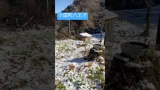 2022.12.3の朝。#shorts #八王子 #長岡 #小国町 #雪