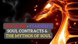 The Truth of Walk-Ins, Starseeds and Soul Entanglements - Intro to Taming the Dragon