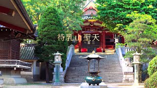 《高度漢化的島國》淺草待乳山聖天 東京神社 東京名勝