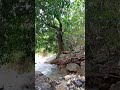 keralamkundu water fall karuvarakundu. malappuram