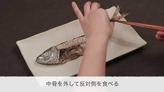 知れば知るほど！目からウロコのOh！SakanaNIIGATA～きれいな魚の食べ方編～