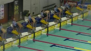 インカレ 50m fr 伊藤彰